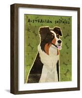 Australian Shepherd-John W^ Golden-Framed Giclee Print