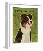 Australian Shepherd-John W^ Golden-Framed Giclee Print