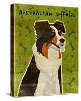 Australian Shepherd-John W Golden-Stretched Canvas