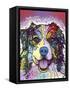 Australian Shepherd-Dean Russo-Framed Stretched Canvas