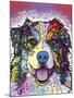 Australian Shepherd-Dean Russo-Mounted Giclee Print