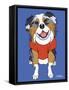 Australian Shepherd-Tomoyo Pitcher-Framed Stretched Canvas