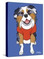 Australian Shepherd-Tomoyo Pitcher-Stretched Canvas