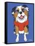 Australian Shepherd-Tomoyo Pitcher-Framed Stretched Canvas