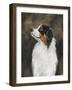 Australian Shepherd-Solveiga-Framed Giclee Print