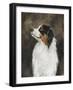 Australian Shepherd-Solveiga-Framed Giclee Print