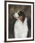 Australian Shepherd-Solveiga-Framed Giclee Print