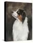 Australian Shepherd-Solveiga-Stretched Canvas