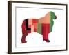 Australian Sheppard-NaxArt-Framed Art Print