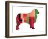 Australian Sheppard-NaxArt-Framed Art Print