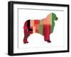 Australian Sheppard-NaxArt-Framed Art Print