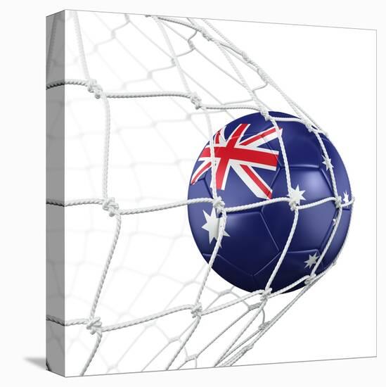 Australian Soccer Ball in a Net-zentilia-Stretched Canvas