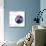 Australian Soccer Ball in a Net-zentilia-Mounted Art Print displayed on a wall