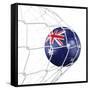 Australian Soccer Ball in a Net-zentilia-Framed Stretched Canvas
