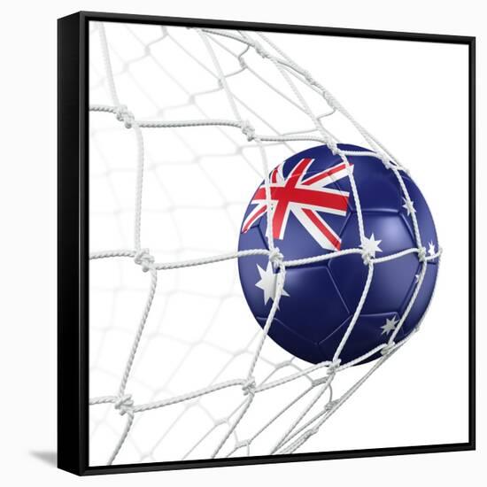 Australian Soccer Ball in a Net-zentilia-Framed Stretched Canvas