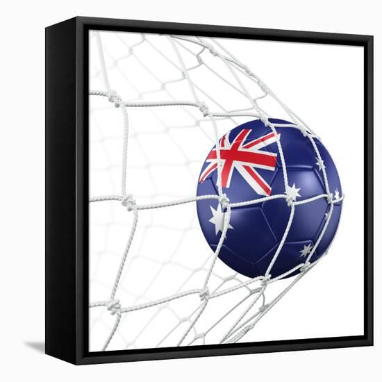 Australian Soccer Ball in a Net-zentilia-Framed Stretched Canvas