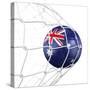 Australian Soccer Ball in a Net-zentilia-Stretched Canvas