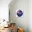 Australian Soccer Ball-zentilia-Stretched Canvas displayed on a wall