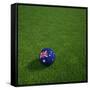 Australian Soccerball Lying on Grass-zentilia-Framed Stretched Canvas