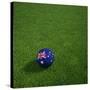 Australian Soccerball Lying on Grass-zentilia-Stretched Canvas