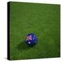 Australian Soccerball Lying on Grass-zentilia-Stretched Canvas