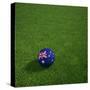 Australian Soccerball Lying on Grass-zentilia-Stretched Canvas