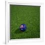 Australian Soccerball Lying on Grass-zentilia-Framed Art Print