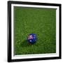 Australian Soccerball Lying on Grass-zentilia-Framed Art Print