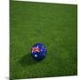 Australian Soccerball Lying on Grass-zentilia-Mounted Art Print
