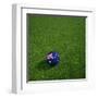 Australian Soccerball Lying on Grass-zentilia-Framed Art Print