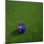 Australian Soccerball Lying on Grass-zentilia-Mounted Art Print