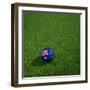 Australian Soccerball Lying on Grass-zentilia-Framed Art Print