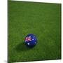 Australian Soccerball Lying on Grass-zentilia-Mounted Art Print