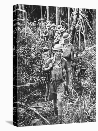 Australian Soldiers Patrolling the Jungle at Singapore before the Japanese Invasion-Carl Mydans-Stretched Canvas