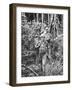 Australian Soldiers Patrolling the Jungle at Singapore before the Japanese Invasion-Carl Mydans-Framed Photographic Print