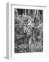 Australian Soldiers Patrolling the Jungle at Singapore before the Japanese Invasion-Carl Mydans-Framed Photographic Print