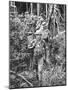 Australian Soldiers Patrolling the Jungle at Singapore before the Japanese Invasion-Carl Mydans-Mounted Photographic Print