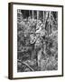 Australian Soldiers Patrolling the Jungle at Singapore before the Japanese Invasion-Carl Mydans-Framed Photographic Print