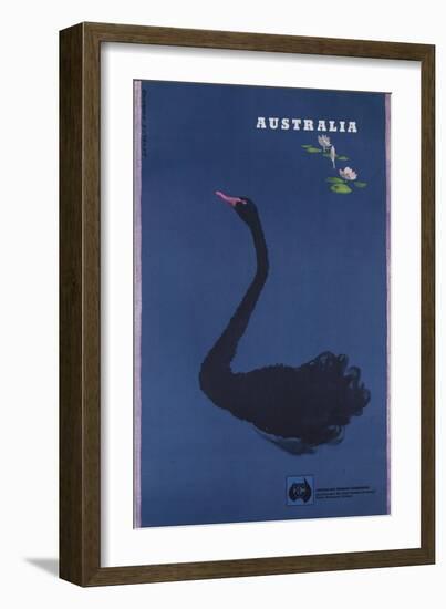 Australian Travel Board Travel Poster, Black Swann, Ca, 1950s-null-Framed Giclee Print