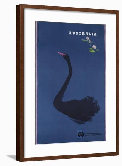 Australian Travel Board Travel Poster, Black Swann, Ca, 1950s-null-Framed Giclee Print