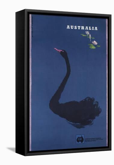 Australian Travel Board Travel Poster, Black Swann, Ca, 1950s-null-Framed Stretched Canvas