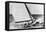 Australian Yacht Race-null-Framed Stretched Canvas