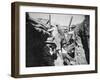 Australians in the Trenches, Gallipoli Campaign, 1915-null-Framed Giclee Print