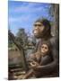 Australopithecus Afarensis, Artwork-Mauricio Anton-Mounted Photographic Print