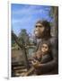 Australopithecus Afarensis, Artwork-Mauricio Anton-Framed Photographic Print