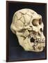 Australopithecus Afarensis ("Lucy")-null-Framed Photographic Print