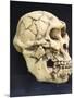 Australopithecus Afarensis ("Lucy")-null-Mounted Photographic Print
