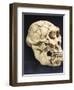 Australopithecus Afarensis ("Lucy")-null-Framed Photographic Print