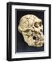 Australopithecus Afarensis ("Lucy")-null-Framed Photographic Print