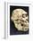 Australopithecus Afarensis ("Lucy")-null-Framed Photographic Print